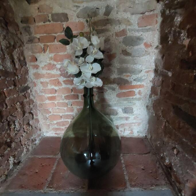 Istanti - Rosmarino Apartment Costigliole Saluzzo ภายนอก รูปภาพ